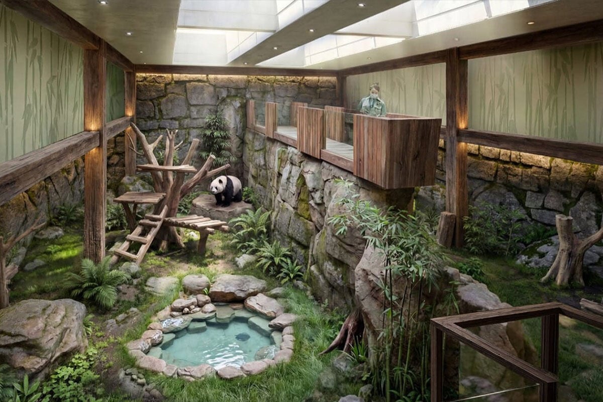 未來落成的新大熊貓展館模擬圖。(海洋公園提供)