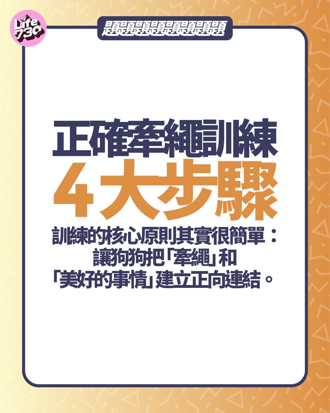 正確牽繩訓練4大步驟