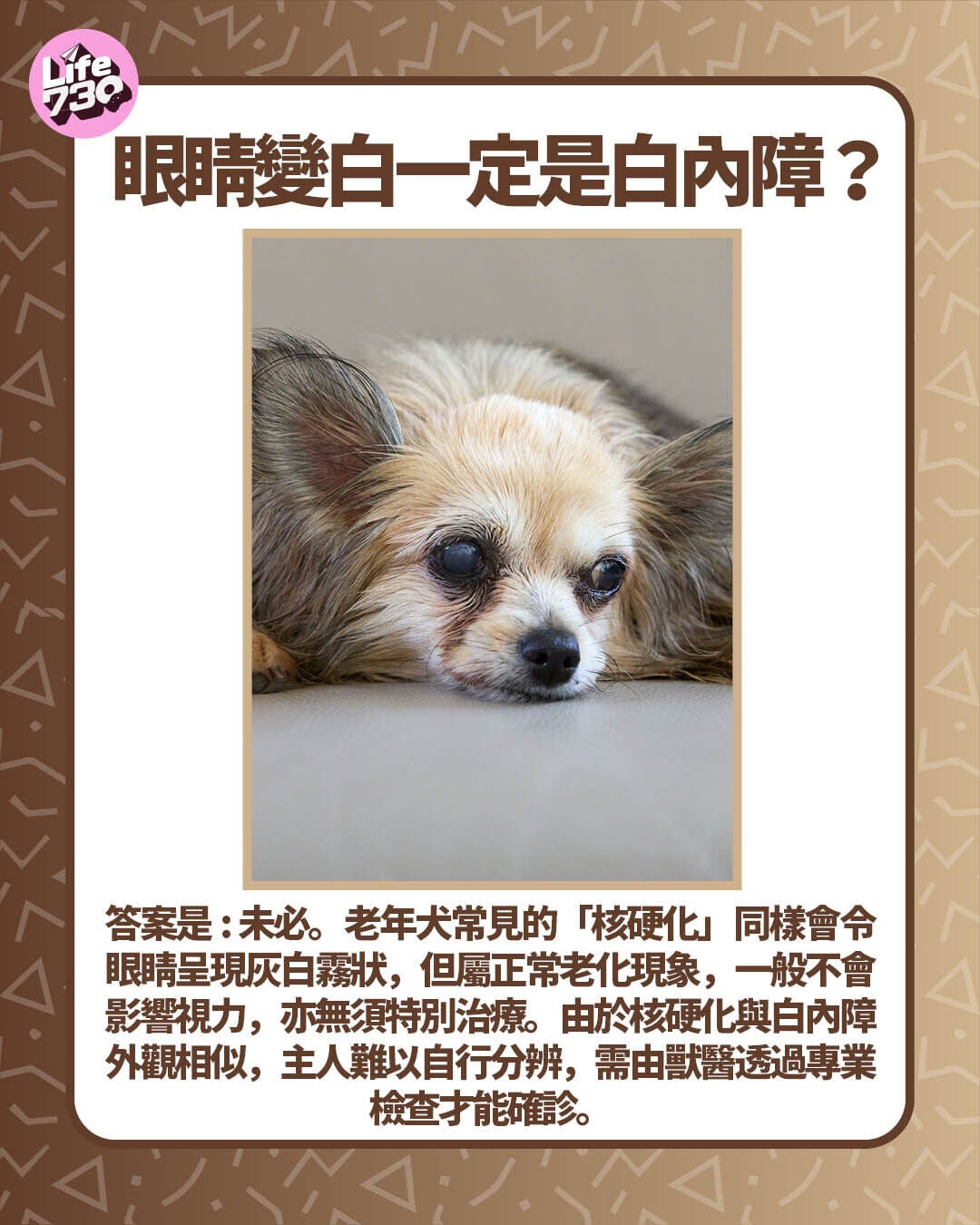 眼睛變白一定是白內障?
