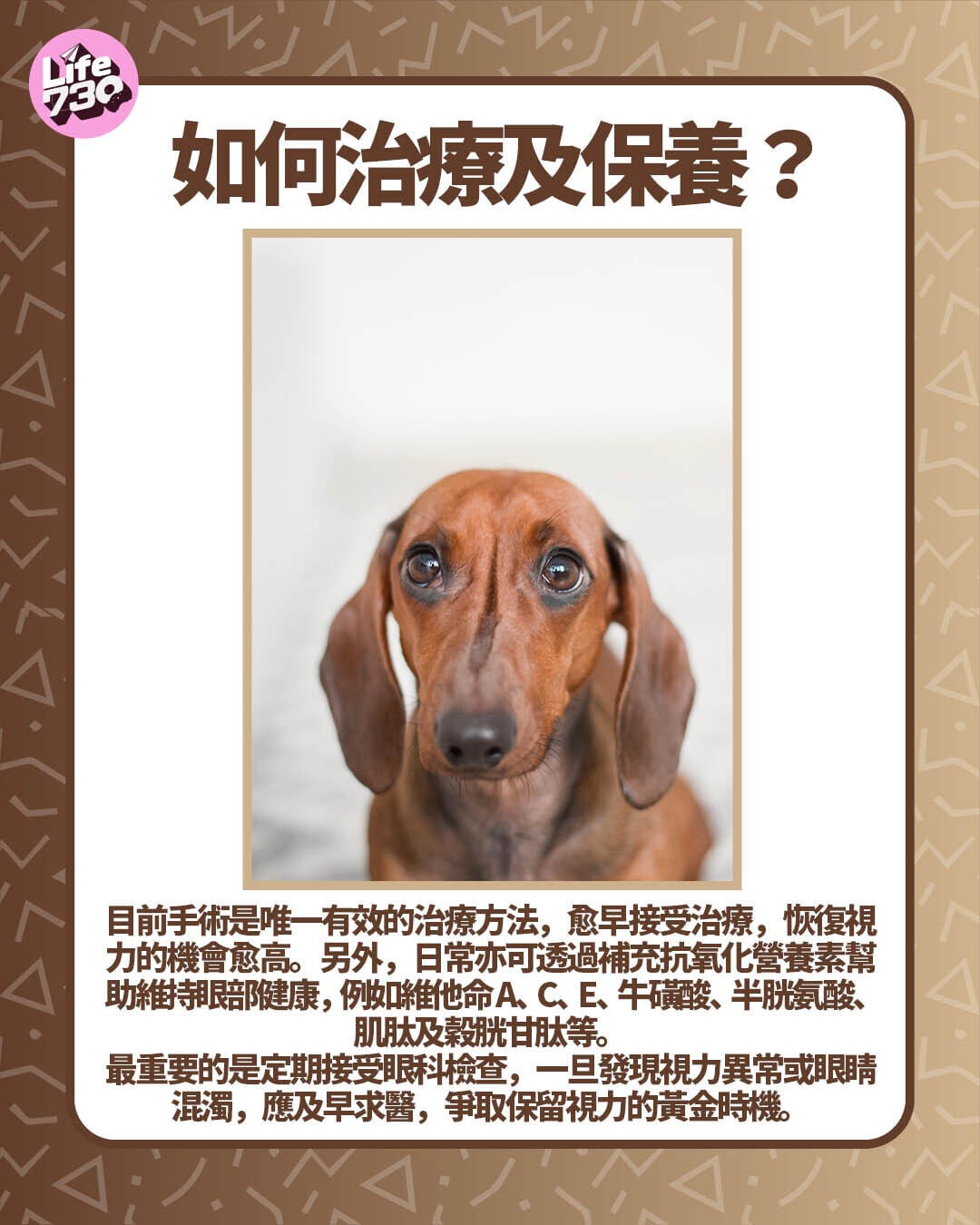 如何治療及保養?