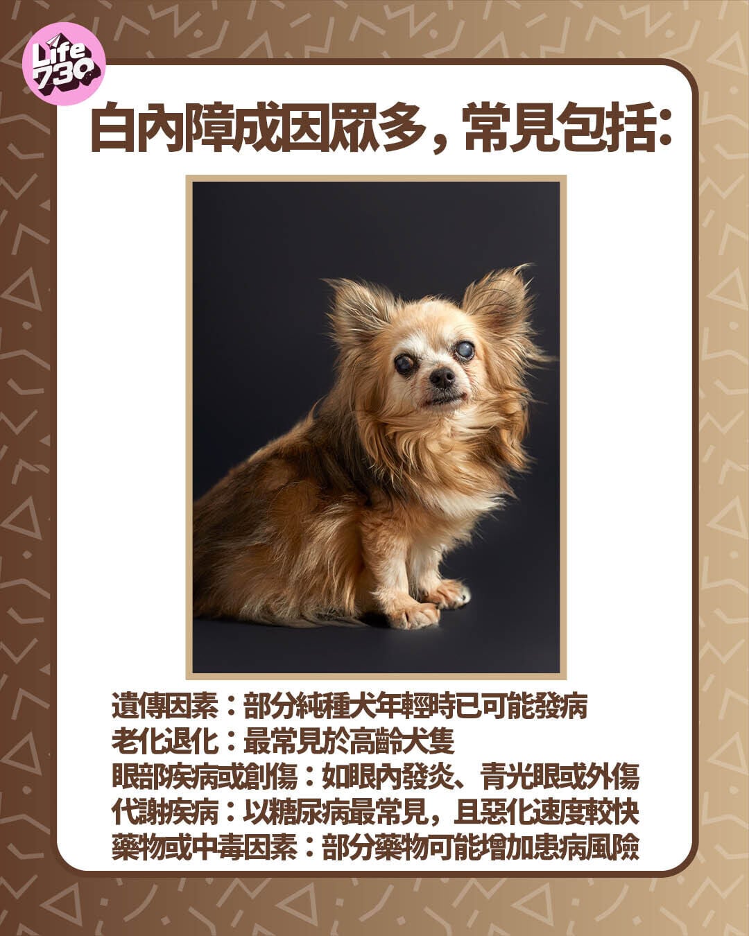 白內障成因有哪些?