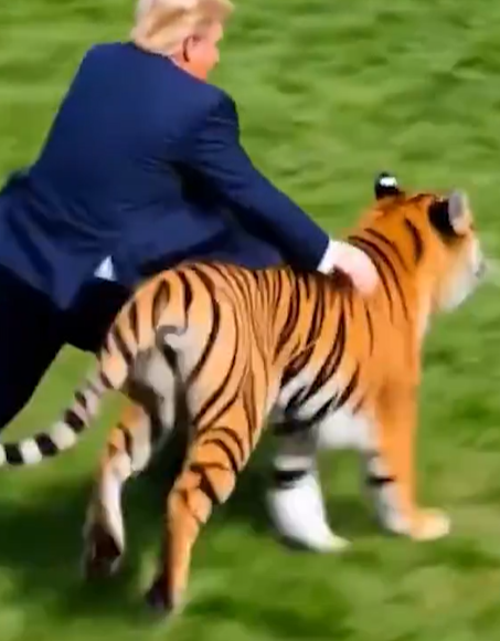 螢幕擷取畫面 2026 10 14 225659