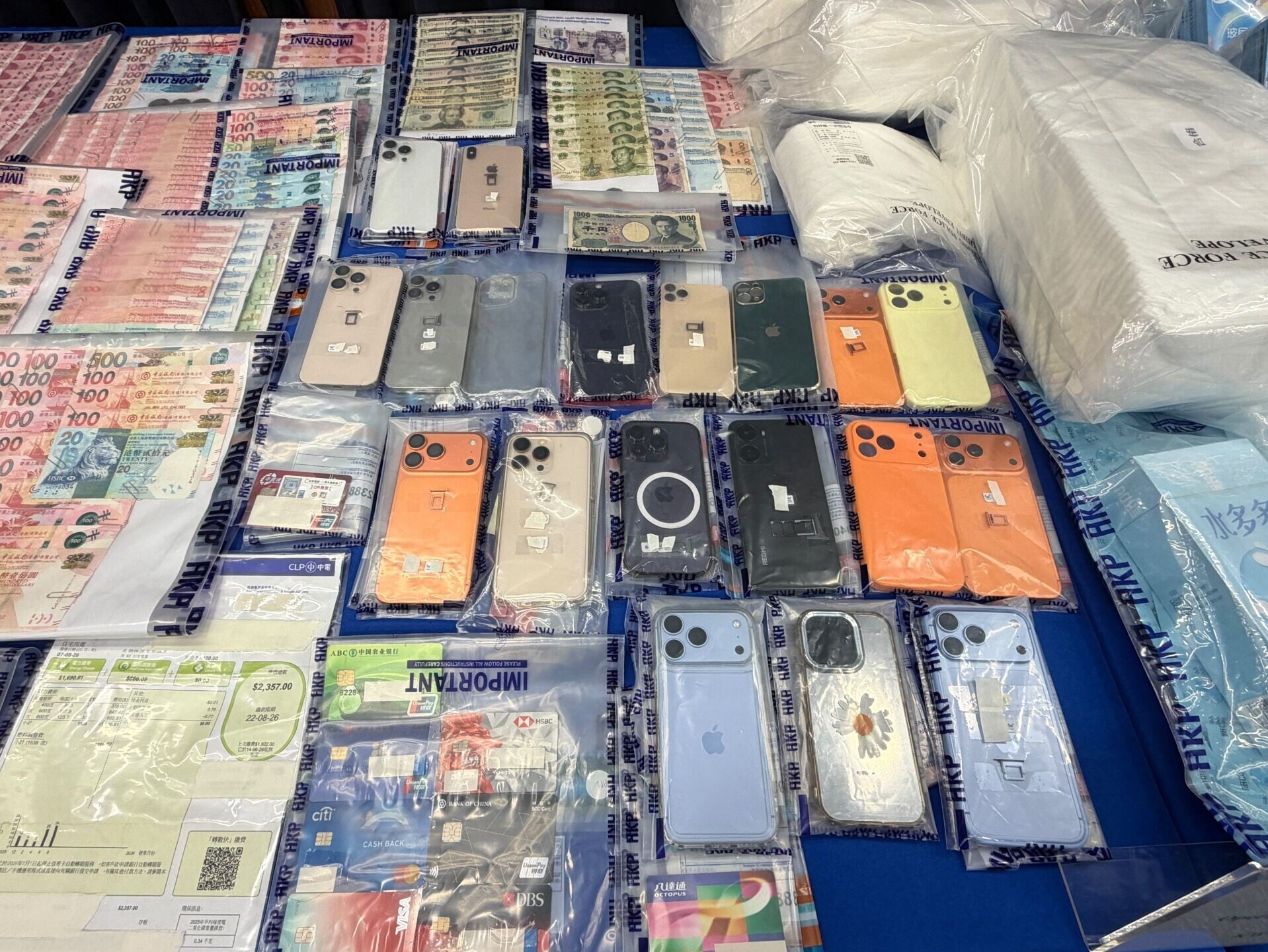 跨境賣淫集團高鐵接送內地女來港,警派臥底搜證拘29人。