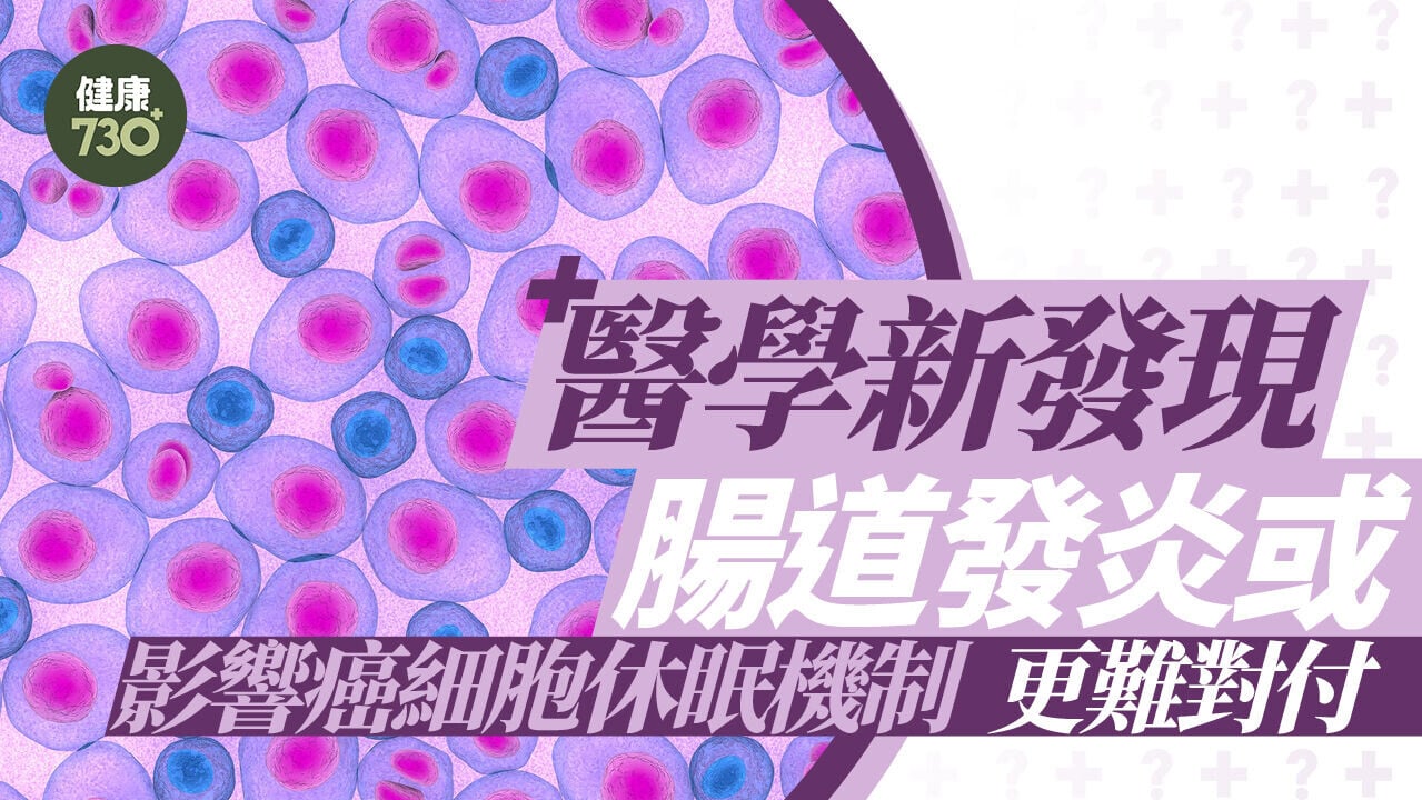 醫學新發現 腸道發炎或影響癌細胞休眠機制 更難對付