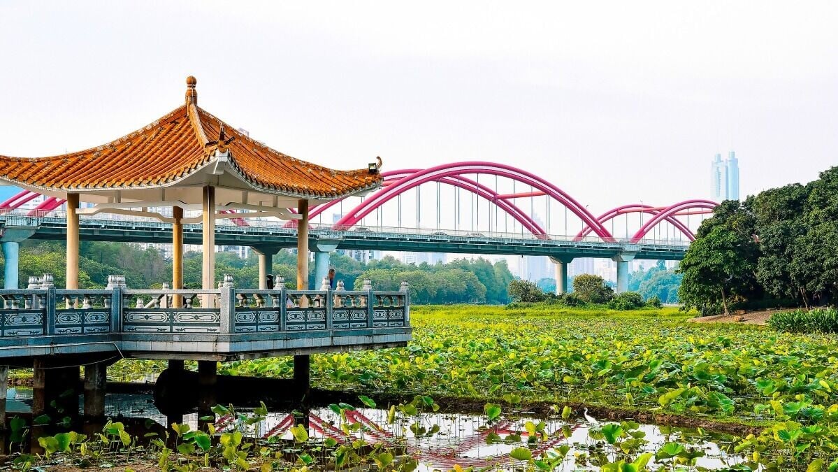 洪湖公園綠化率達95%,芙蓉亭、晨曦亭等亭台點綴湖面,南區的紅蓮、落羽杉與白鷺構成「三棲畫廊」。(圖片來源:洪湖公園)