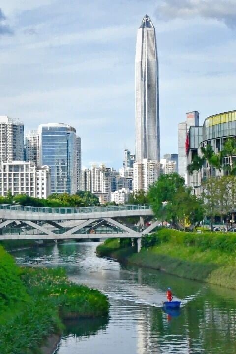 新洲河遠眺福田CBD,平安金融中心大樓盡收眼底。(網上圖片)