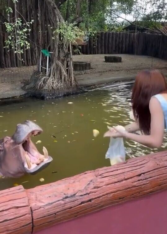第三次餵投。(IG)