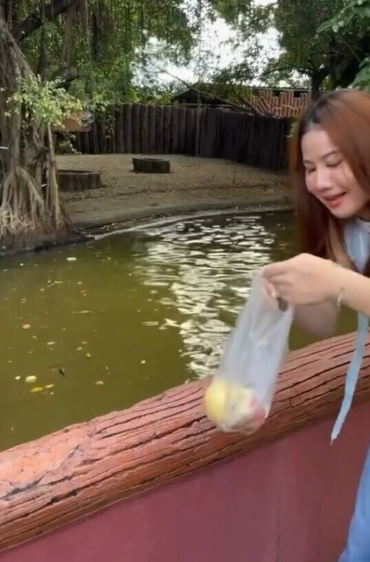 女遊客亦急起來,又再要向河馬投餵。(IG)
