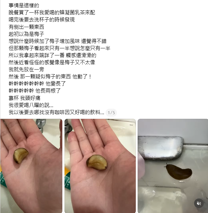 有食客光顧「八曜和茶」,發現杯底有一隻蛞蝓(Threads)