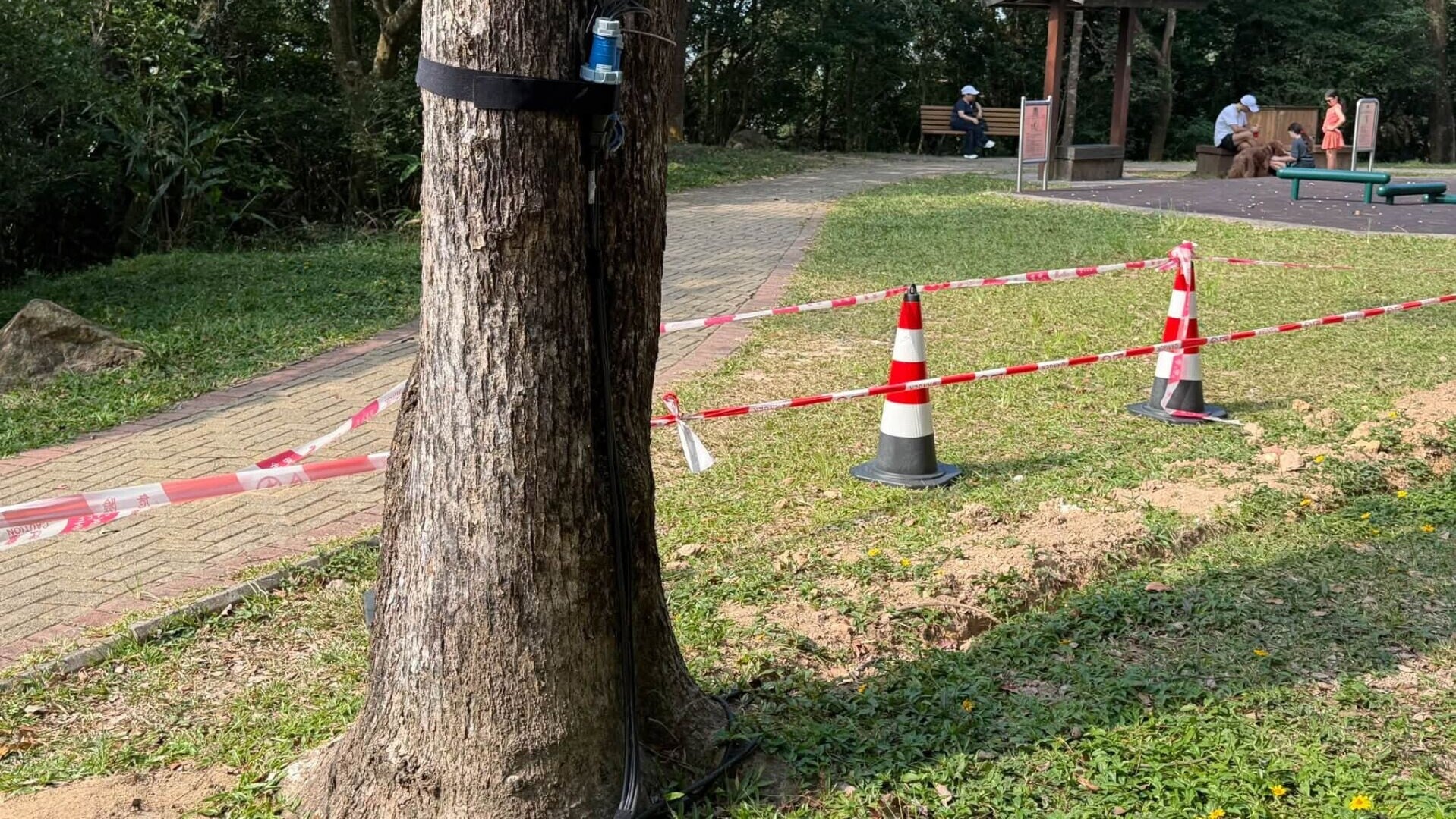 旅發局擬於山頂盧吉道及夏力道一帶推行光影效果項目，引起市民反對。(立法會議員陳家珮圖片)