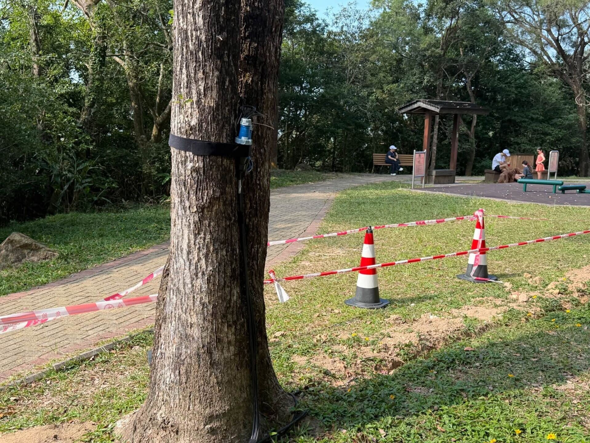 旅發局擬於山頂盧吉道及夏力道一帶推行光影效果項目,引起市民反對。(立法會議員陳家珮圖片)