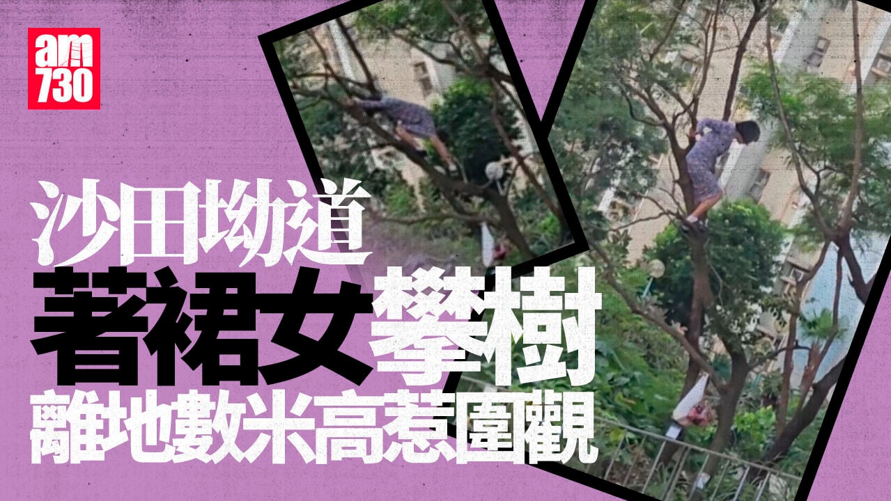 黃大仙沙田坳道連衣裙女爬樹　離地數米引途人圍觀(有片)