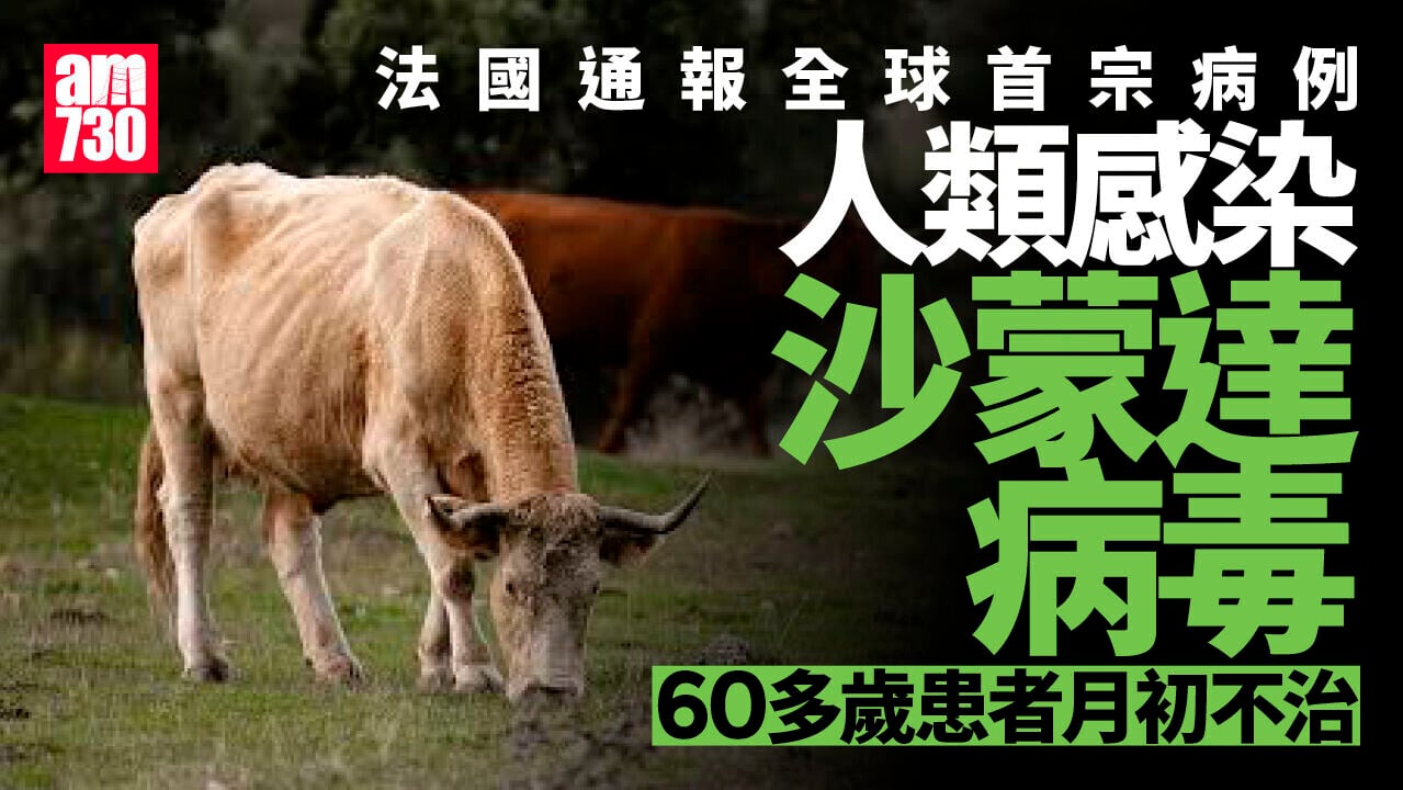 法國通報全球首宗人類感染沙蒙達病毒個案　患者月初亡