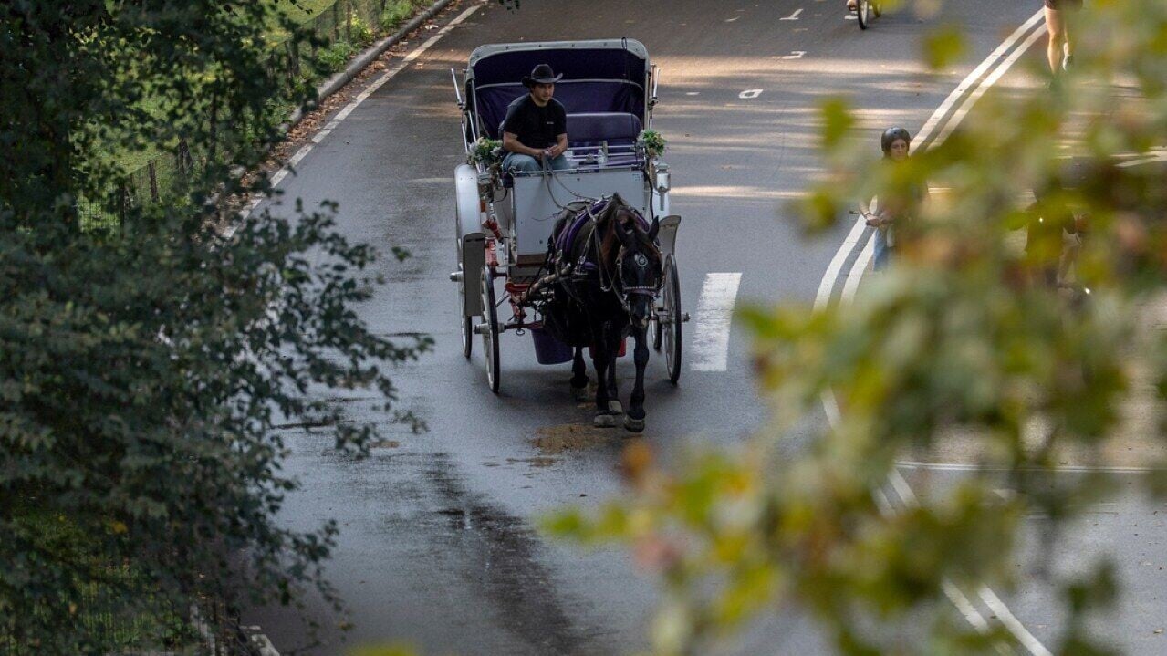 紐約中央公園馬車2028年6月起被禁載客 馬伕憂失業（資料圖片）