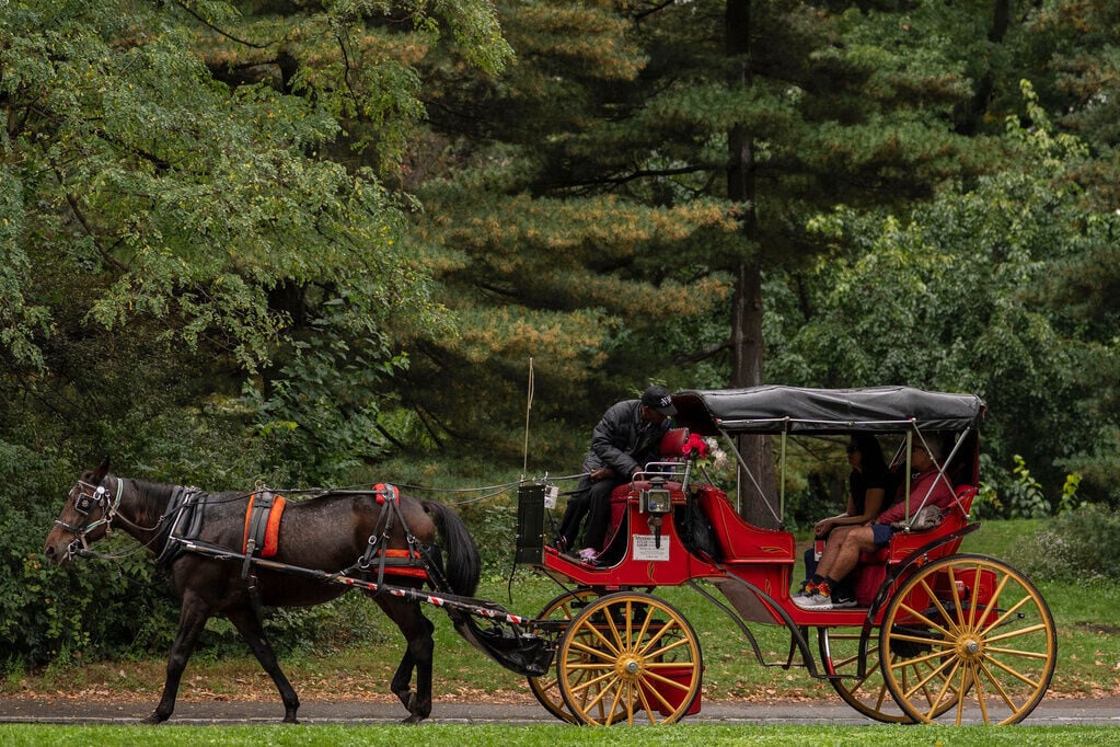 紐約中央公園馬車傳統達150年(AP)