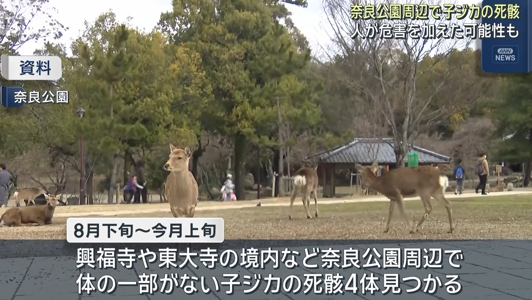 螢幕擷取畫面 2026 10 23 180124