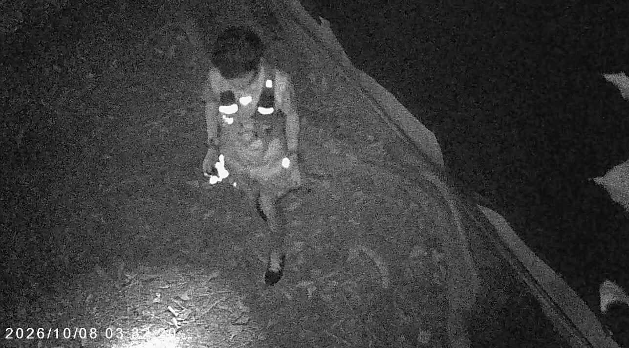 石硤尾公園一名男子疑在貓糧內下毒(Threads)