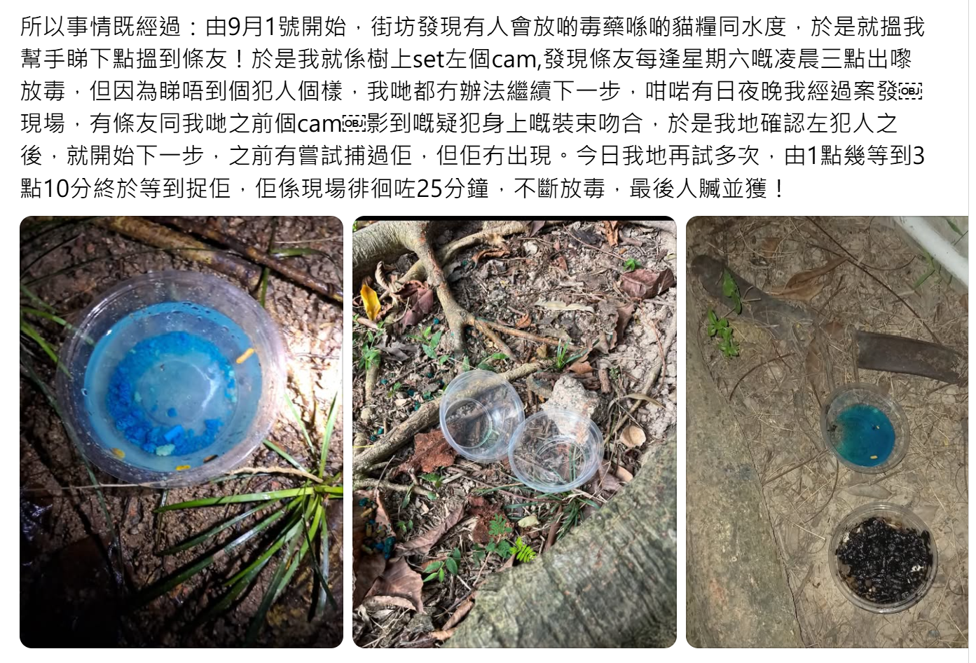 石硤尾公園一名男子疑在貓糧內下毒(Threads)