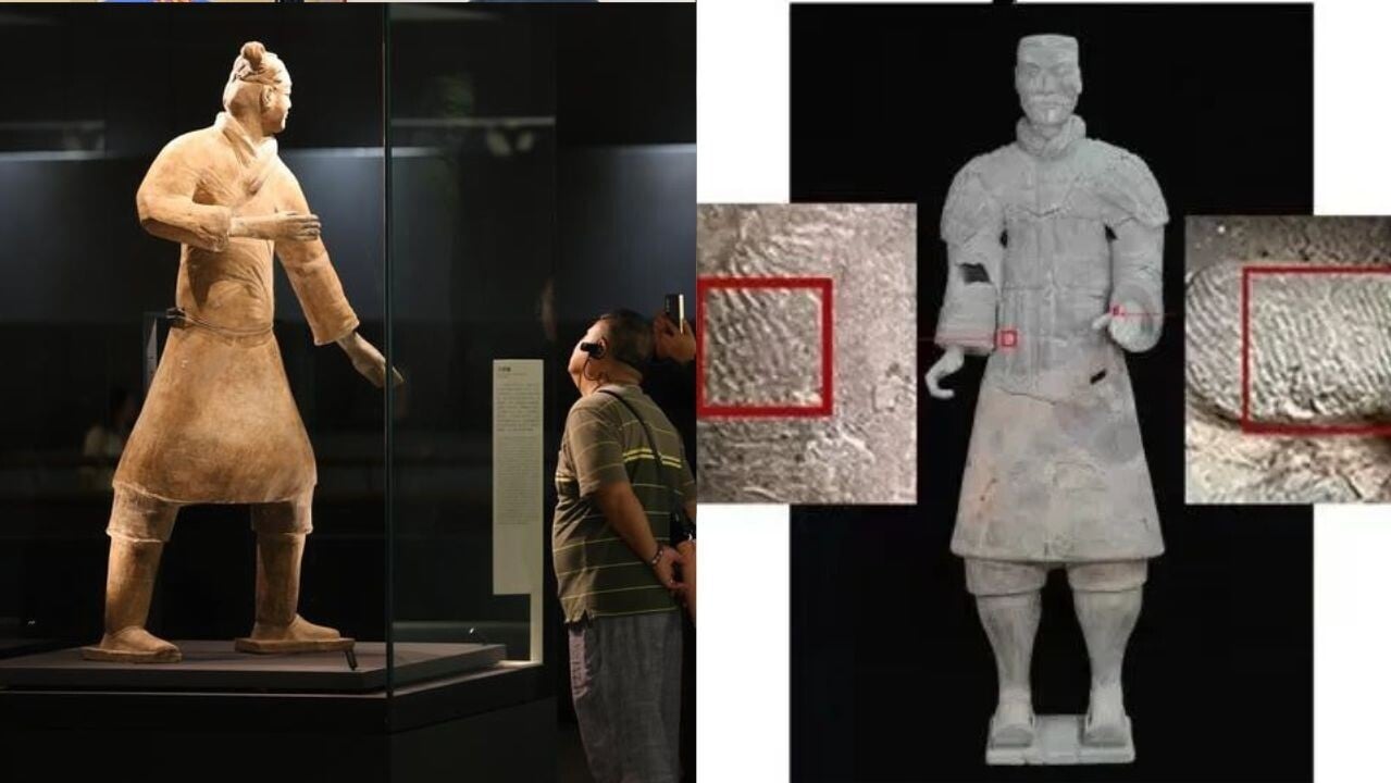 秦始皇帝陵博物院與山東大學考古學院合作研究，透過兵馬俑表面保存的指紋，分析古代工匠的年齡與性別組成