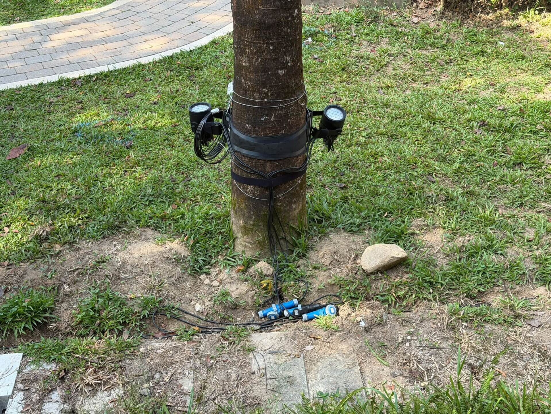 旅發局擬於山頂盧吉道及夏力道一帶推行光影效果項目,引起市民反對。(立法會議員陳家珮圖片)