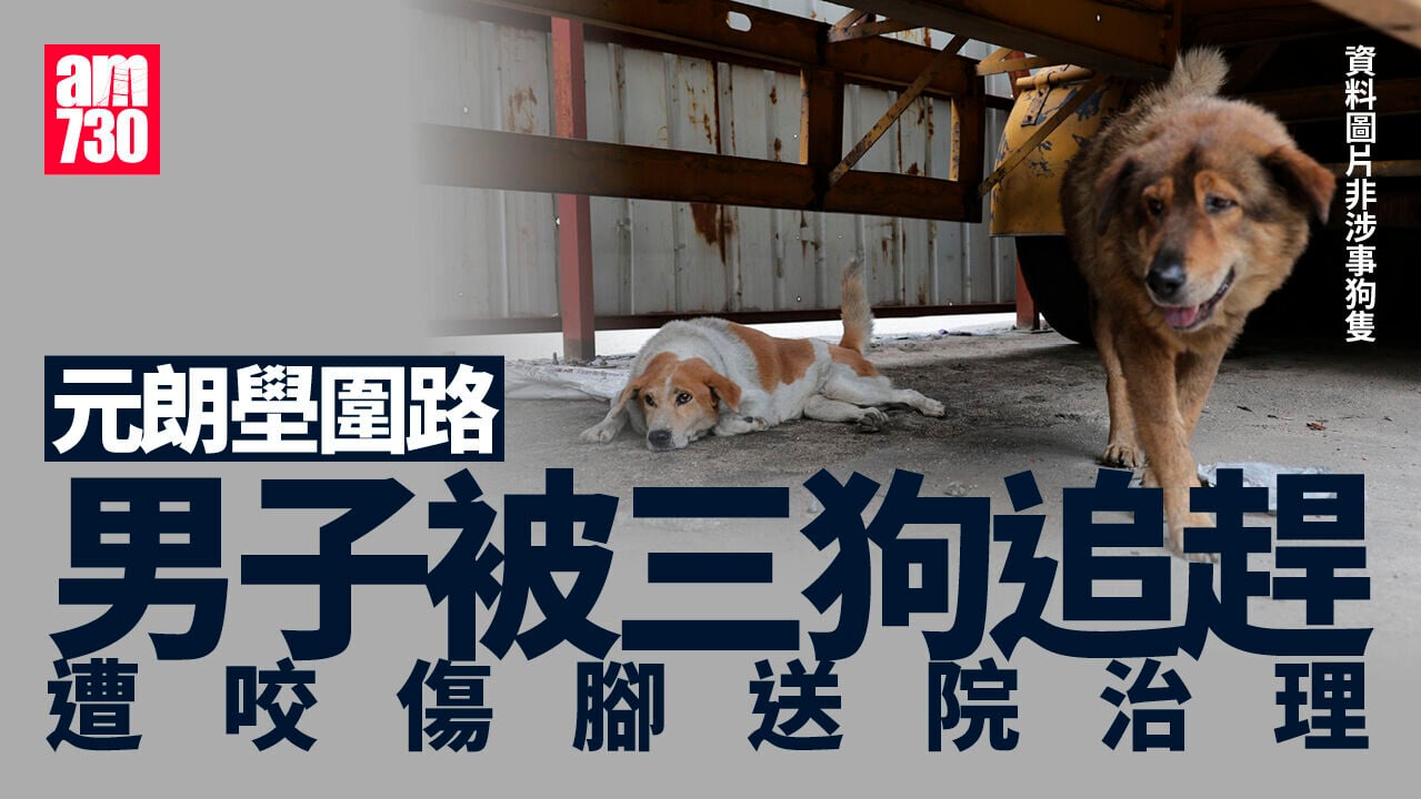 元朗壆圍路貨倉員工被3狗追趕　遭1狗咬傷腳送院治理