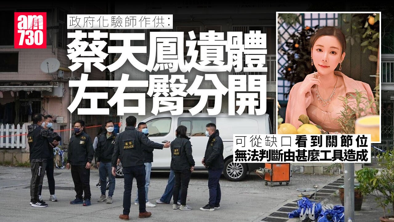 蔡天鳳碎屍案｜左右臀分開　化驗師：無明顯工具特徵無法分辨由甚麼造成