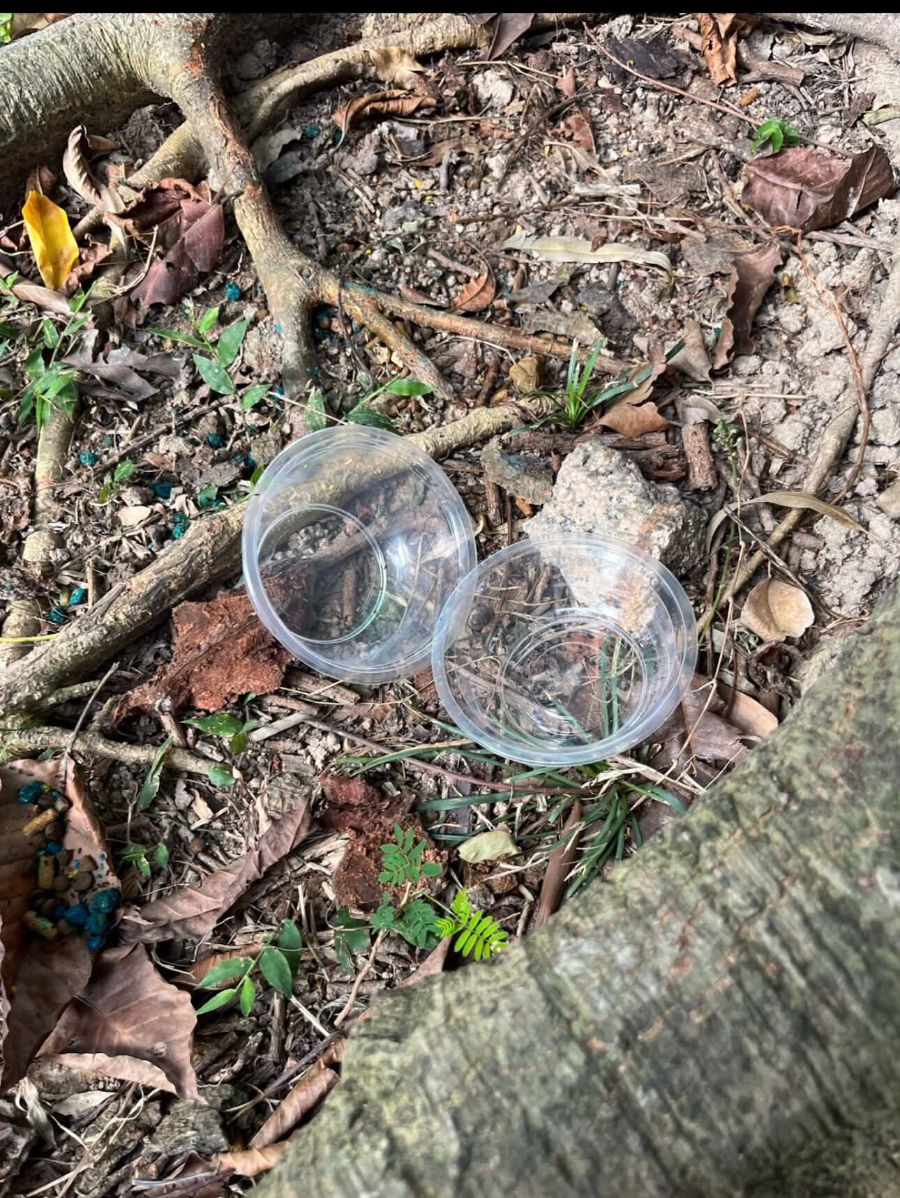 石硤尾公園一名男子疑在貓糧內下毒(Threads)