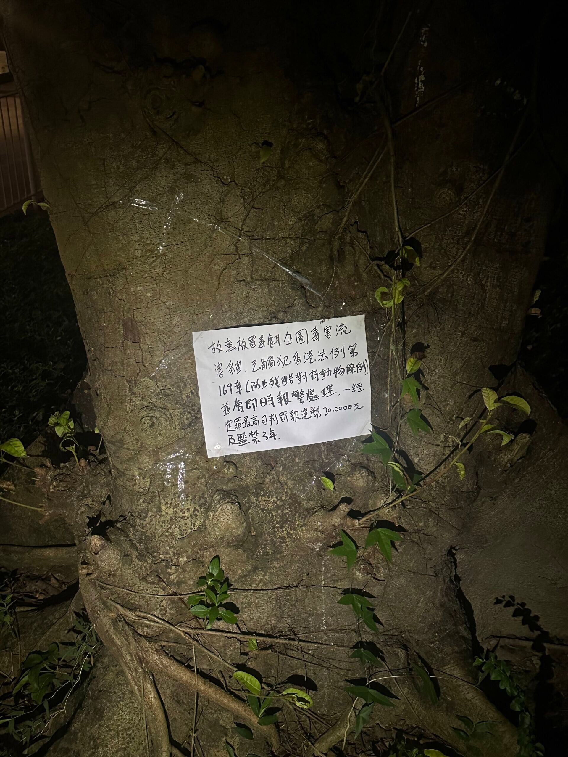 石硤尾公園一名男子疑在貓糧內下毒(Threads)