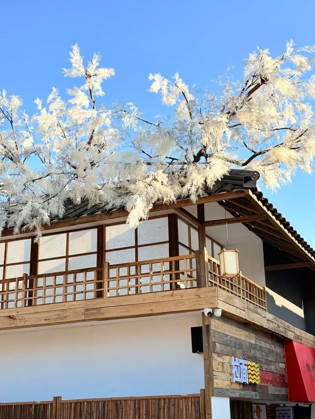 不在🇯🇵!在深圳!深圳新开的❄️♨️ 2 The beacon 來自小紅書網頁版