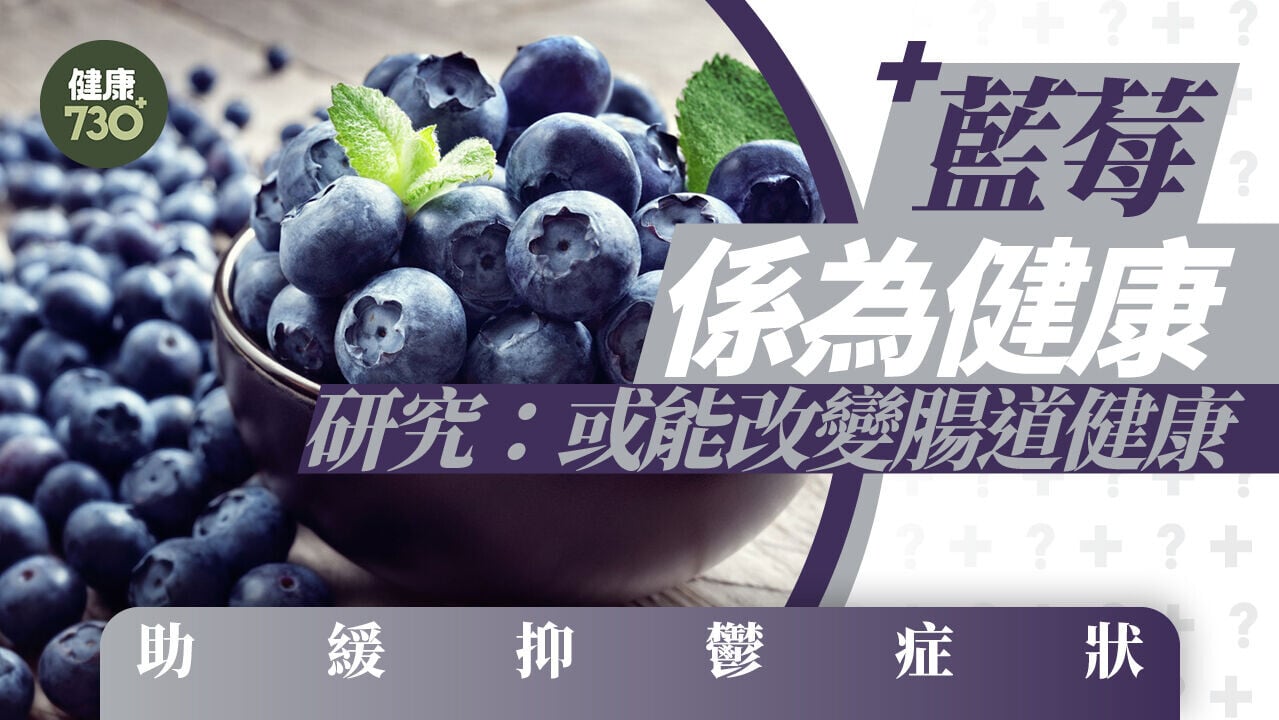 藍莓不只護眼 研究：或能改變腸道健康 助緩抑鬱症狀
