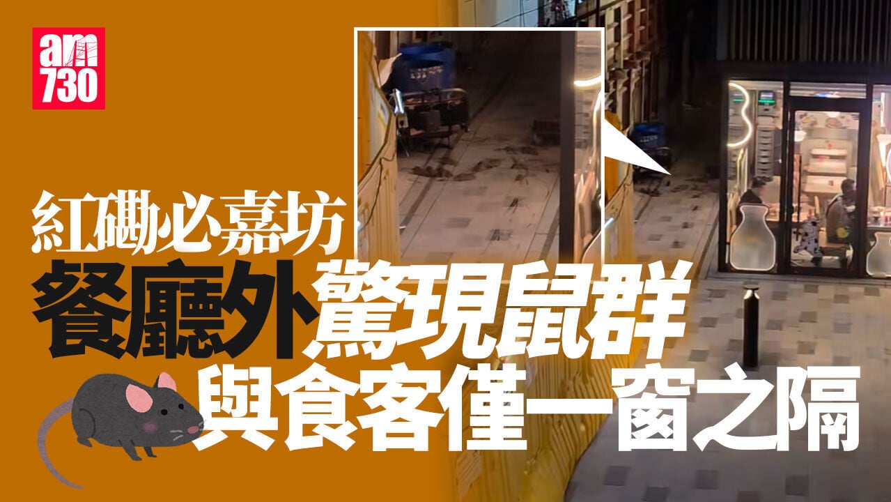 紅磡必嘉坊群鼠餐廳外搵食與食客一窗之隔　區議員食環署視察 (有片)
