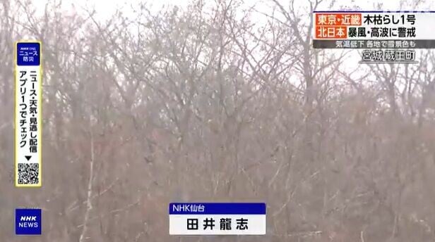 日本下雪