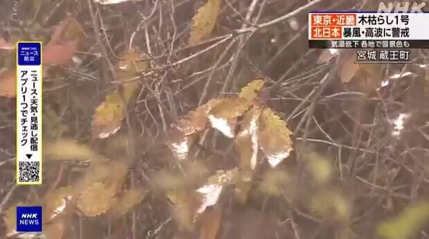 日本下雪