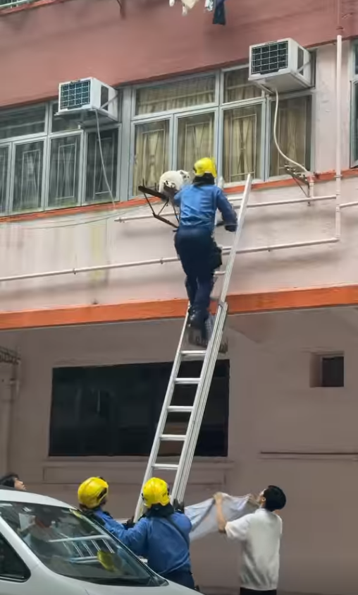 鰂魚涌貓咪被困外牆晾衫架,市民持布築防護網,消防爬梯解困。(Threads)