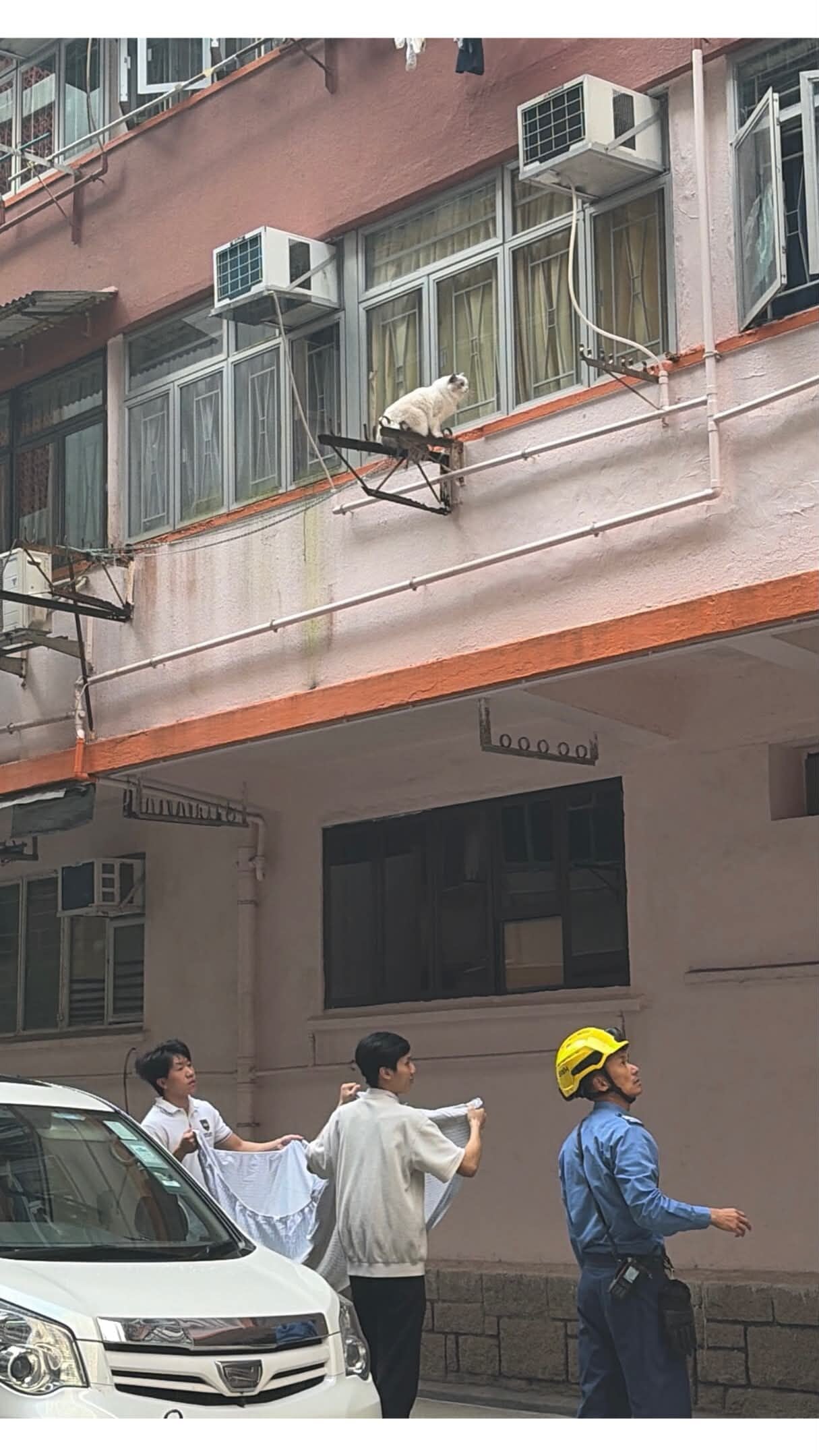 鰂魚涌貓咪被困外牆晾衫架,市民持布築防護網,消防爬梯解困。(Threads)