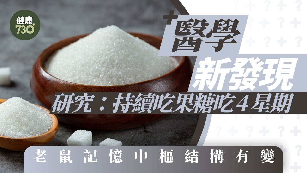 醫學新發現  研究：持續吃果糖吃4星期 老鼠記憶中樞結構有變