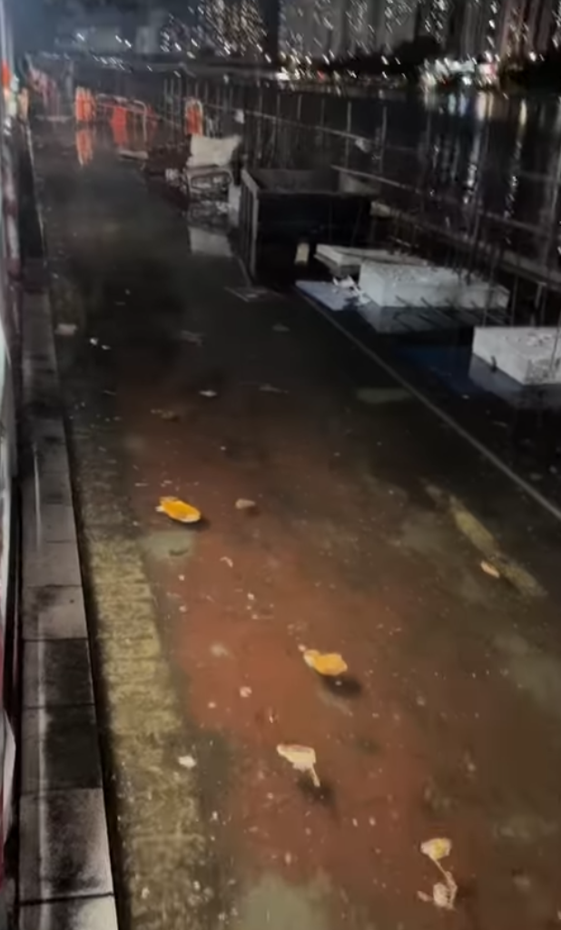 有網民在沙田源禾遊樂場,表示「單車路連行人路因潮漲水浸」,垃圾漂浮水面。(Threads)