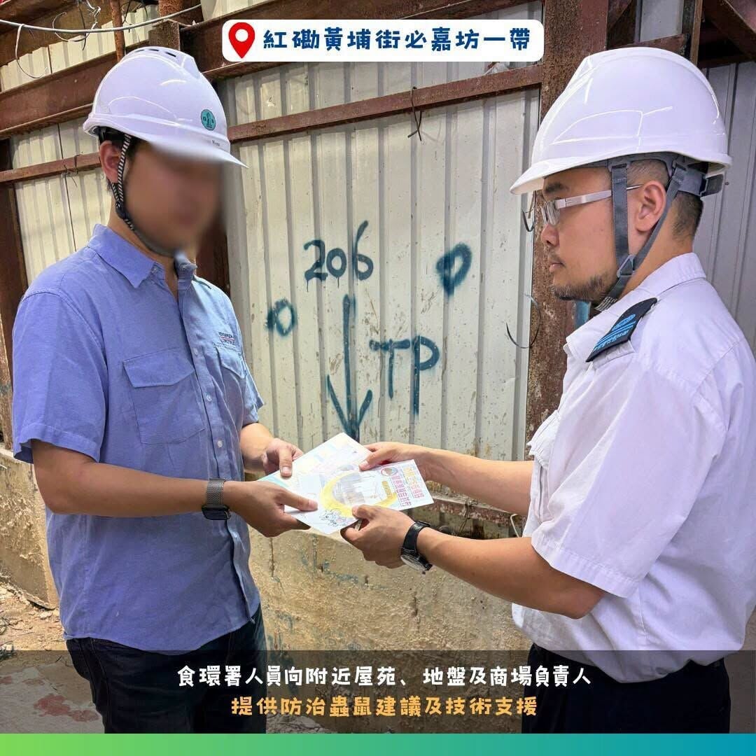 食環署指過去兩個月,於紅磡必嘉坊一帶共捕獲77隻老鼠。