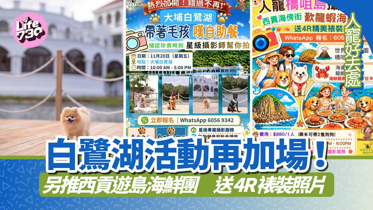 人寵好去處｜白鷺湖活動再加場！另推西貢遊島海鮮團　送4R裱裝照片