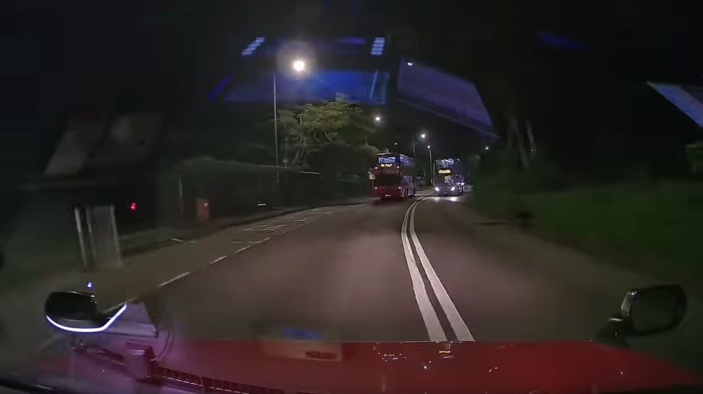 大埔公路流浪狗徘徊行車線　的士響號護航救一命