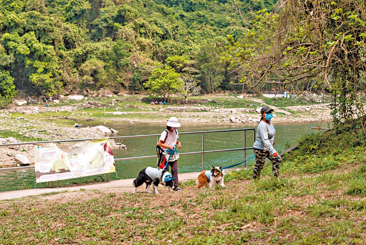 近年遊客不再局限於市區旅遊，轉移到郊野公園等地方深度旅遊。(資料圖片)