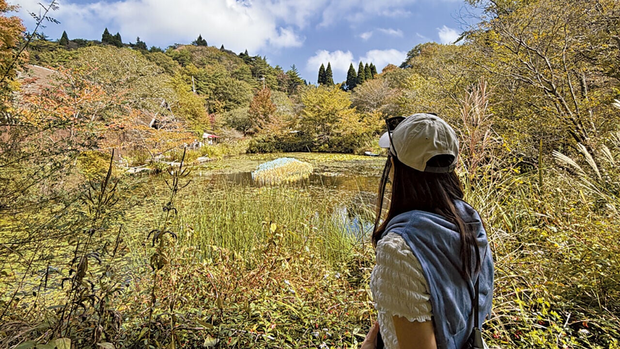 六甲山 散步絮語 莎莉
