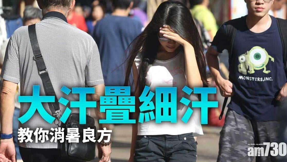 養生｜中醫消暑良方 荷葉排骨湯清熱去濕