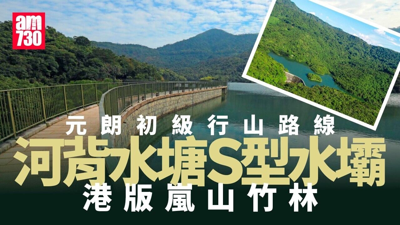 元朗初級行山路線｜河背水塘S型水壩兼遊港版嵐山竹林 三塘連走