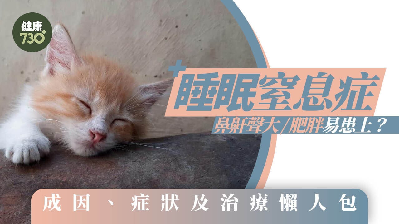 睡眠窒息症成因、症狀及治療懶人包 鼻鼾聲大/肥胖易患上？