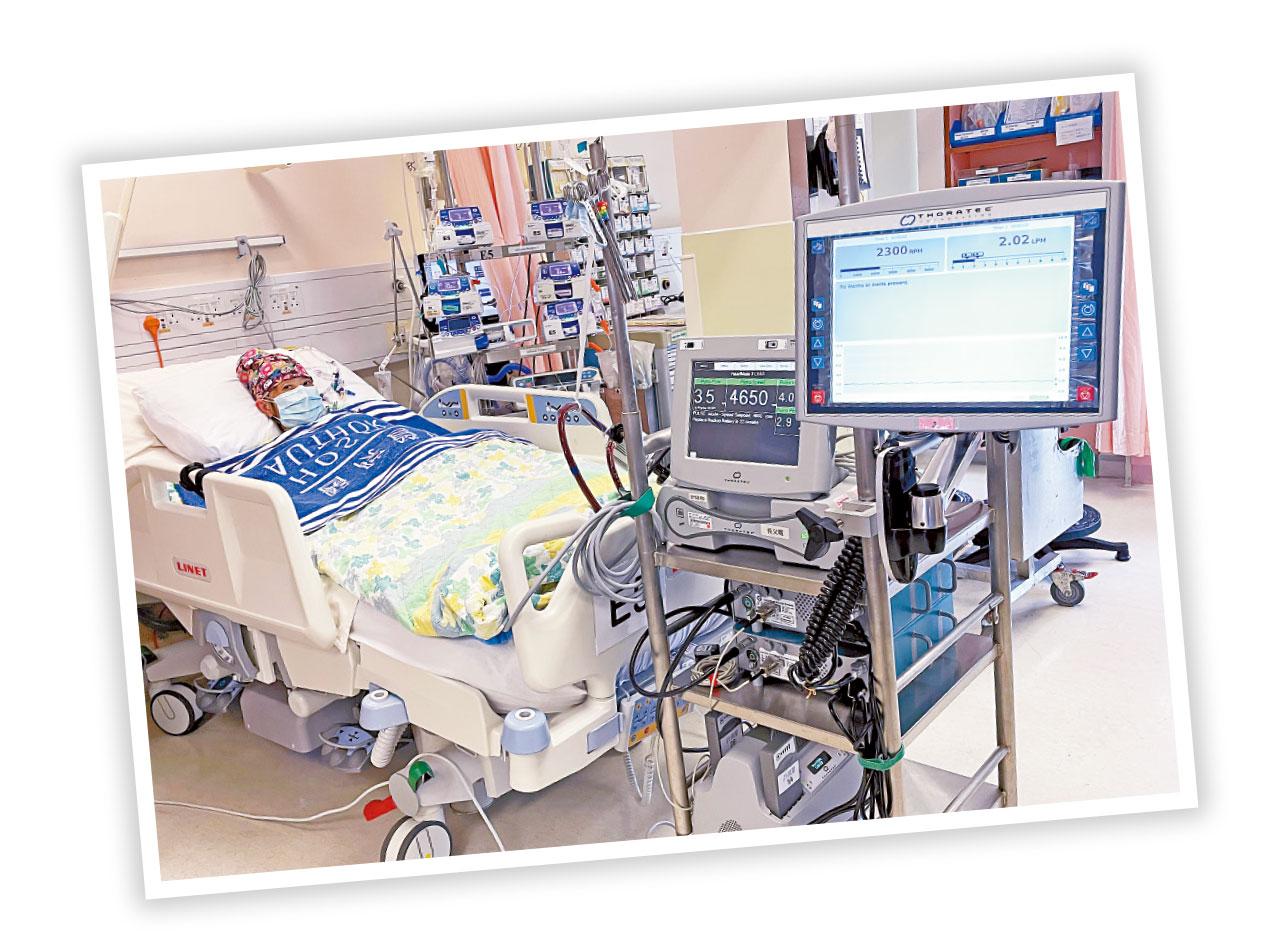 命懸一線心功能僅餘11% 65歲婦急須換心續命 丈夫盼有心人遺愛人間