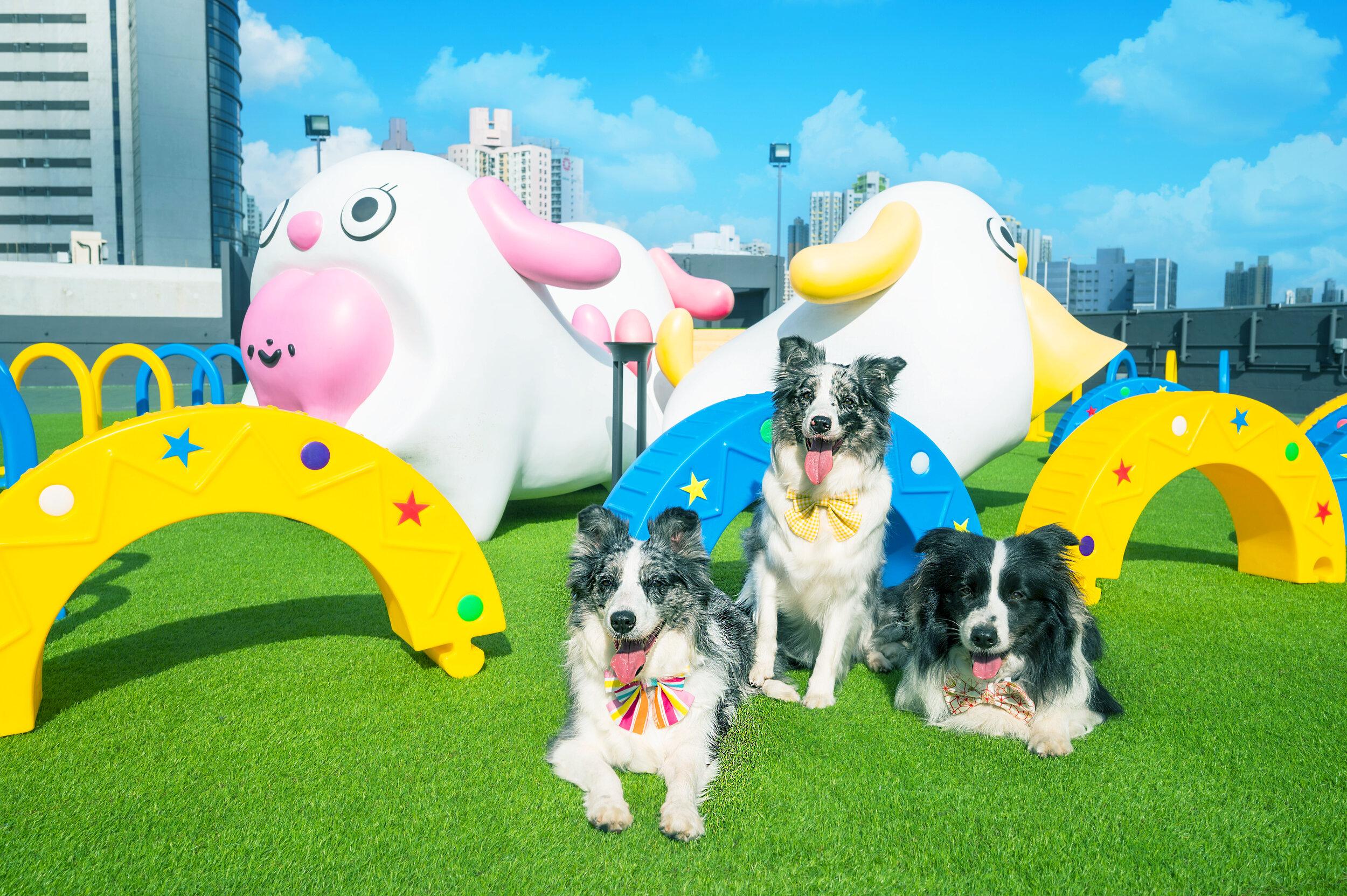 仿真草地上擺放多款寵物玩樂設施