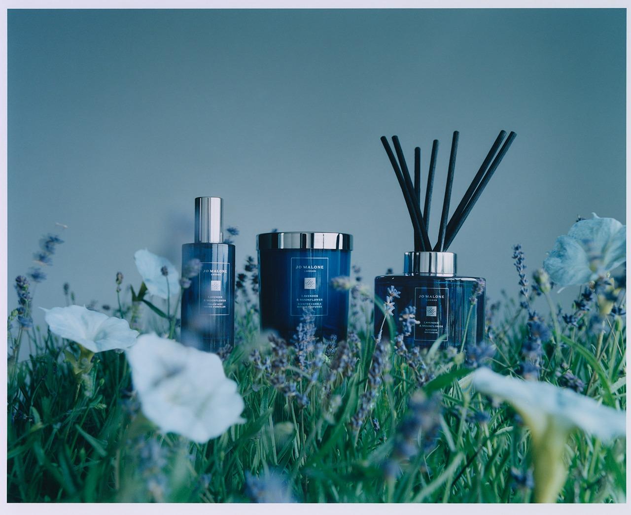 薰衣草與月光花:藤枝擴香組 $805/165ml、居室香氛工藝蠟燭、$590/200g、枕香噴霧 $370/50ml