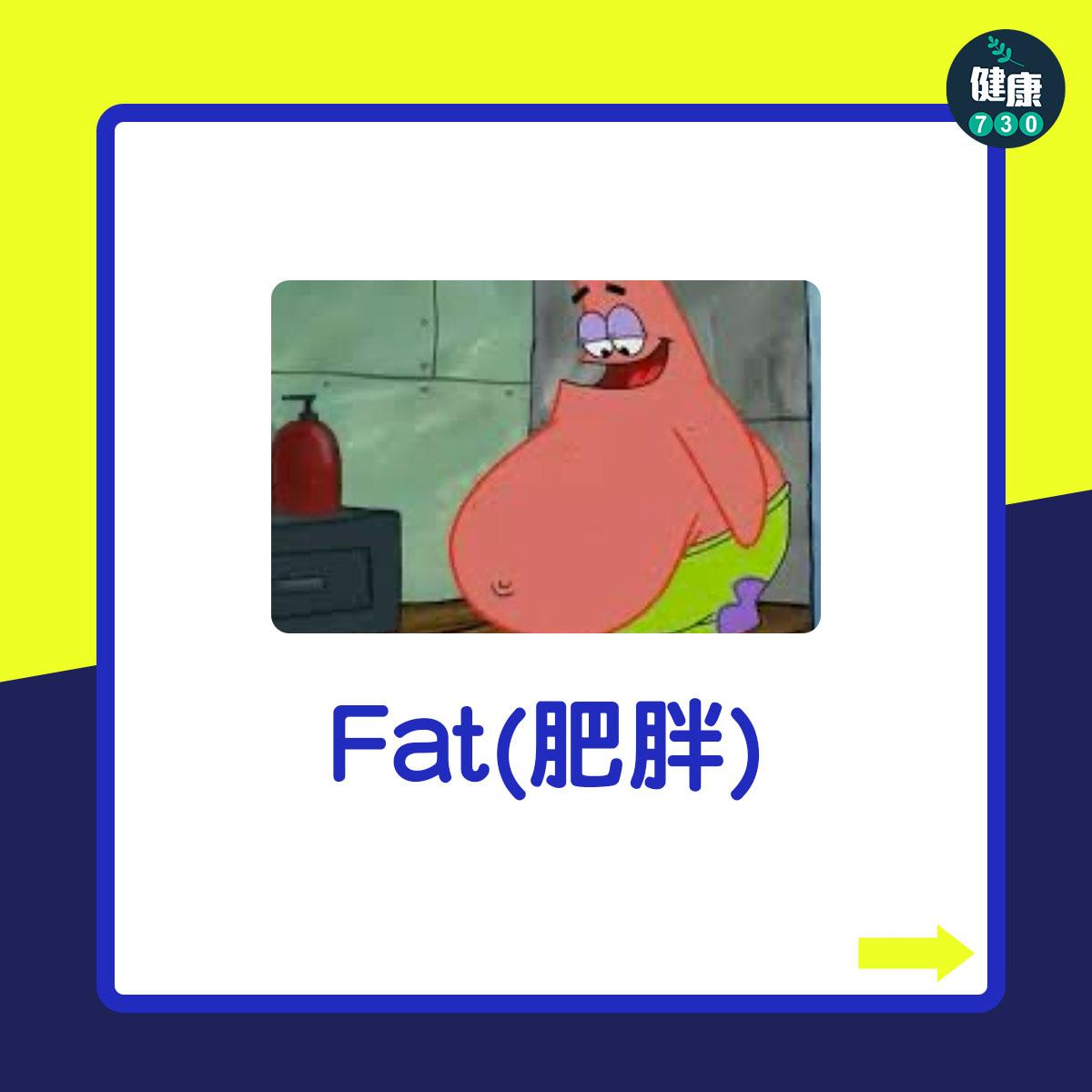 Fat(肥胖)
