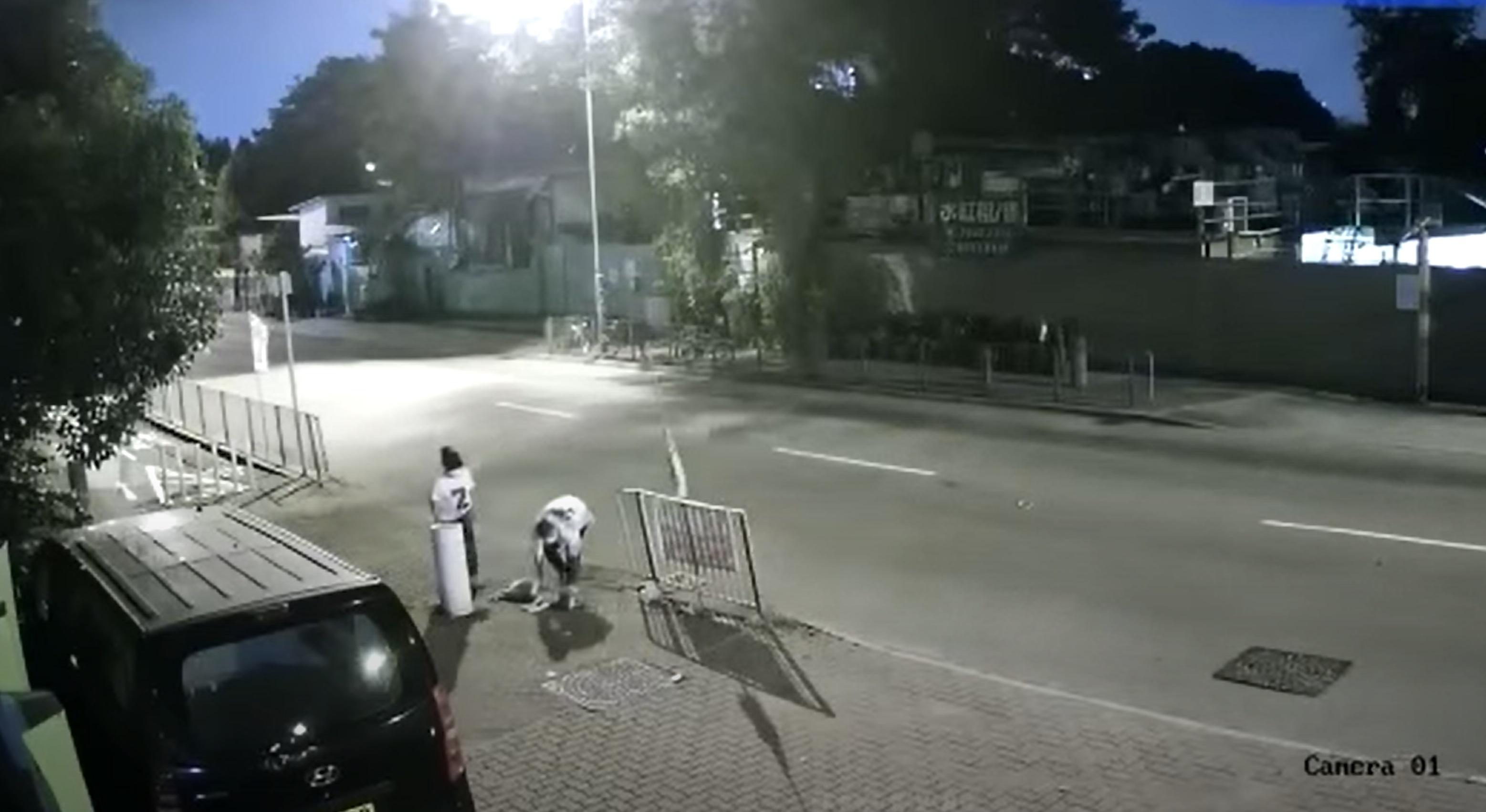 一對男女將狗隻抬到行人路上。(影片截圖)